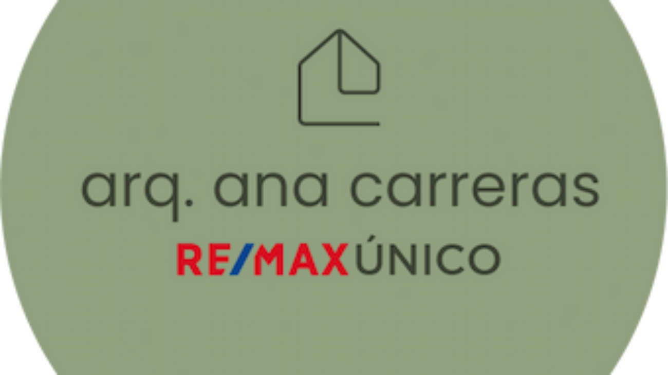 logo ana remax